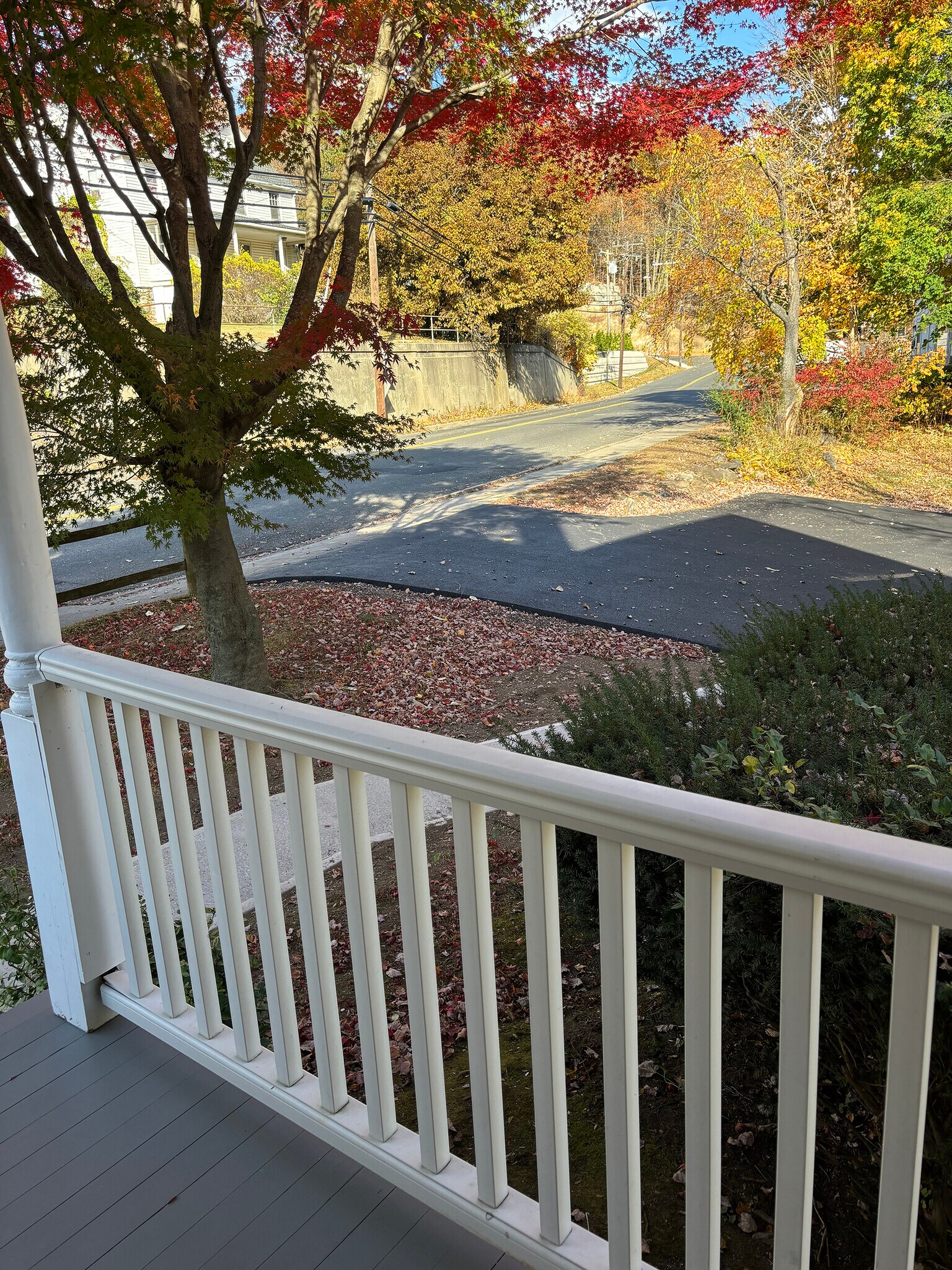 Street view from front porch - 210 Echo Lake Rd