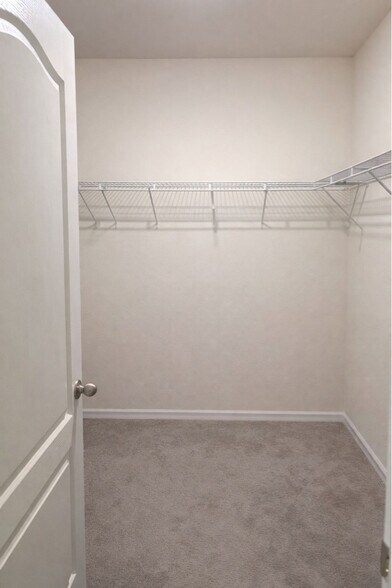 Building Photo - 3684 Diving Dove Ln