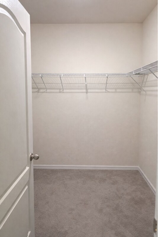 Building Photo - 3684 Diving Dove Ln