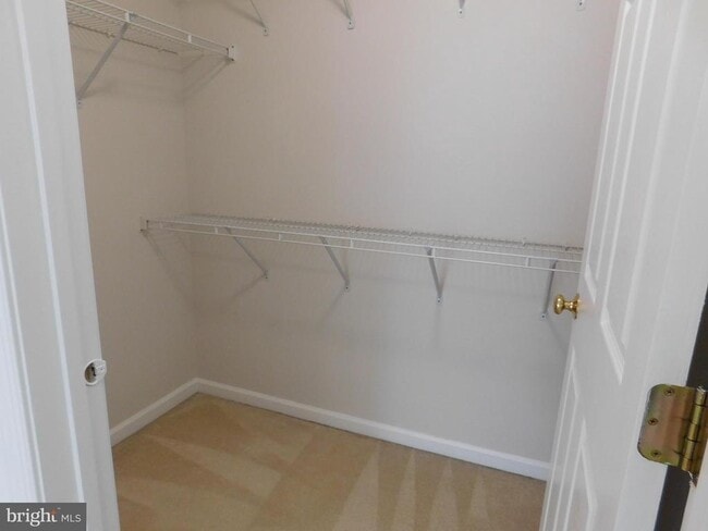 Building Photo - 25207 Bald Eagle Terrace