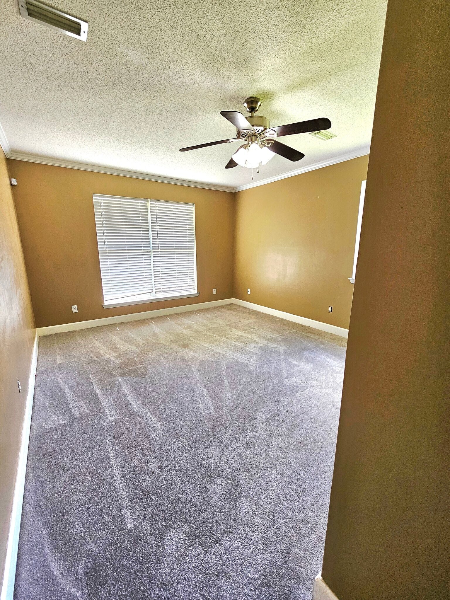 Building Photo - 206 Paulk Rd