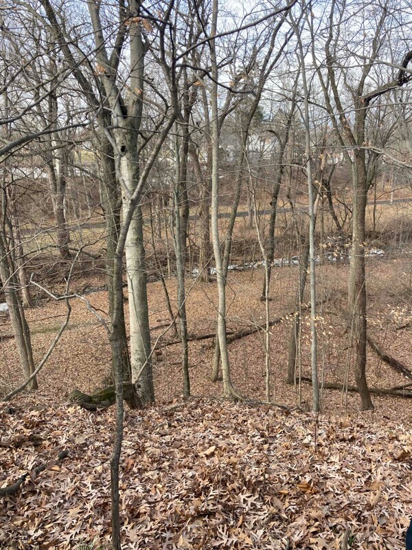 Building Photo - 153 Western Ave