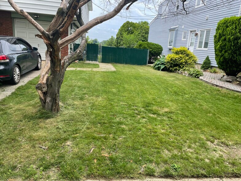 Front yard - 29 Monroe Pl