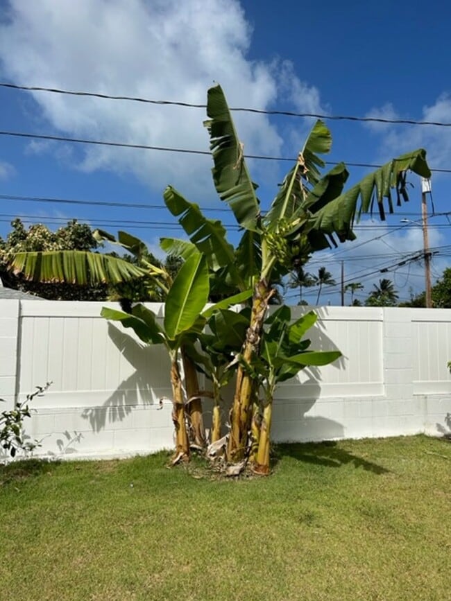 Building Photo - Available on 12/16/25, spacious 1570 sq ft, 3 Bedrooms, 2 Baths, 2 Car Garage Single-Family Home ...