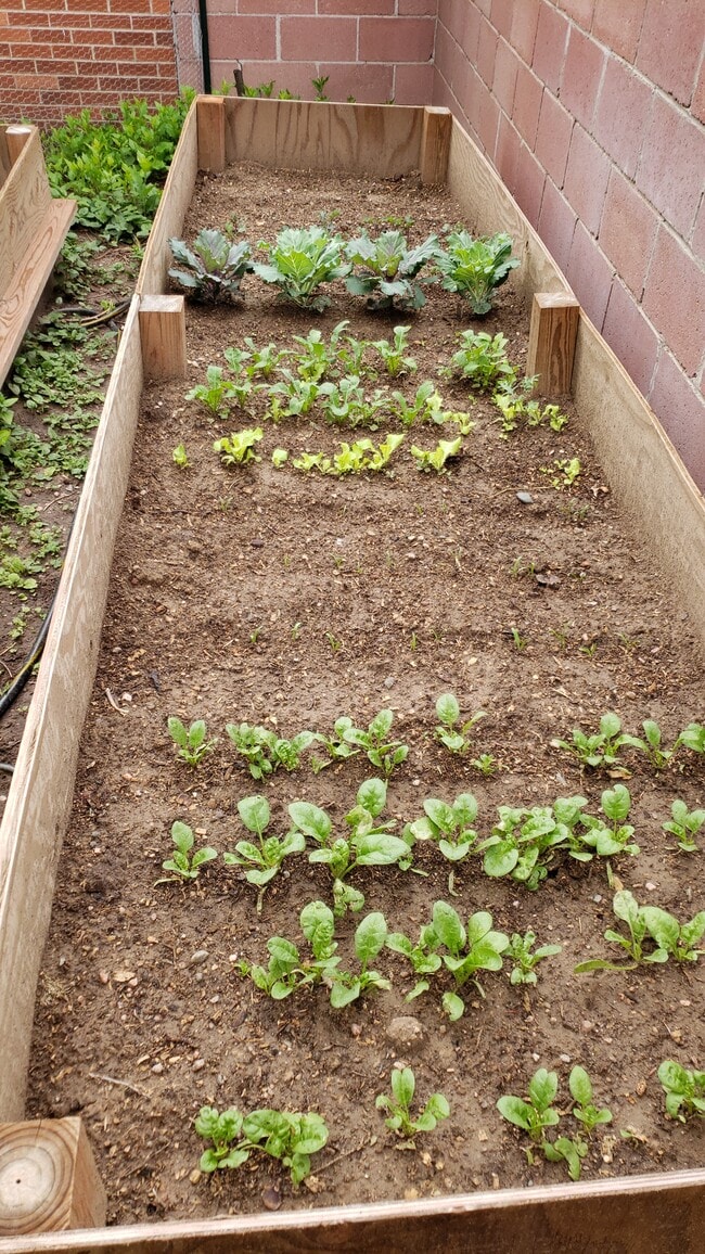 Building Photo - 901 Country Club Ave