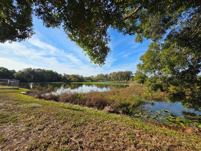 Building Photo - Furnished 2-Bedroom, 2-Bathroom Condo in Tampa