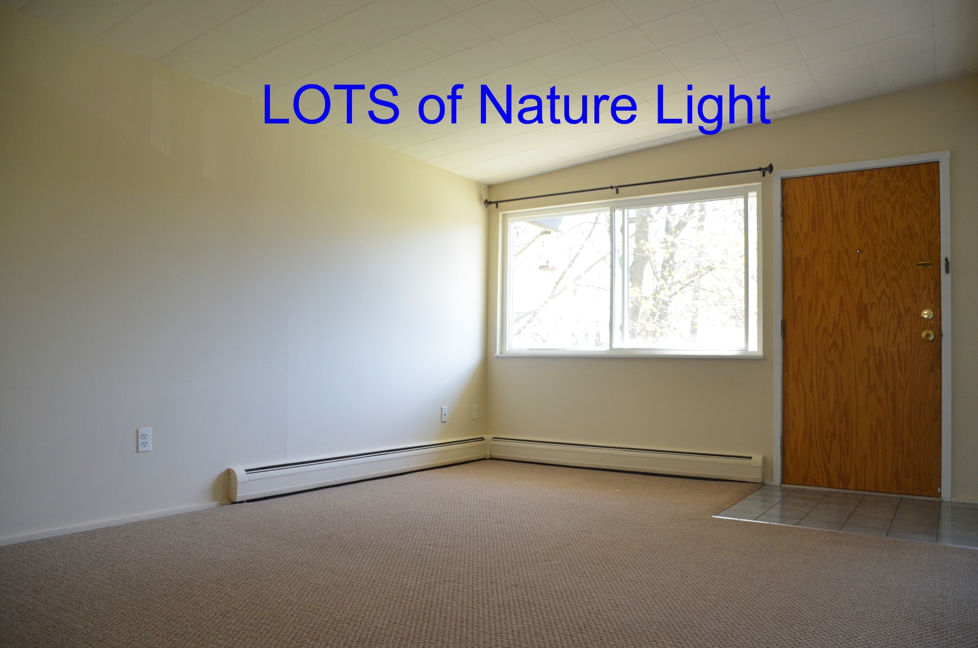 Livingroom - 408 Montgomery Ave