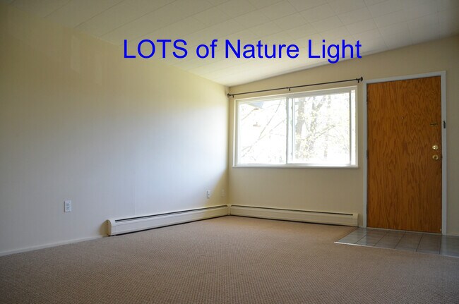 Livingroom - 408 Montgomery Ave