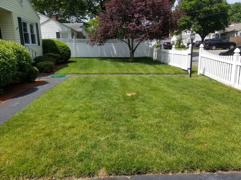 Front Yard - 46 Brookway Dr