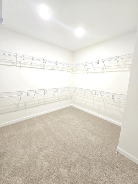 Building Photo - 111 Amelia Cir