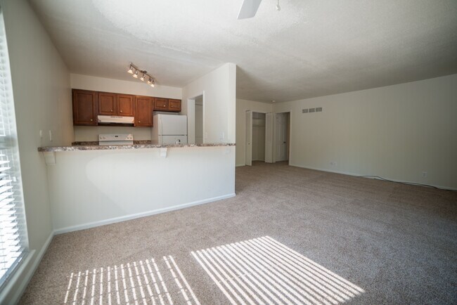 Building Photo - The Notre Dame