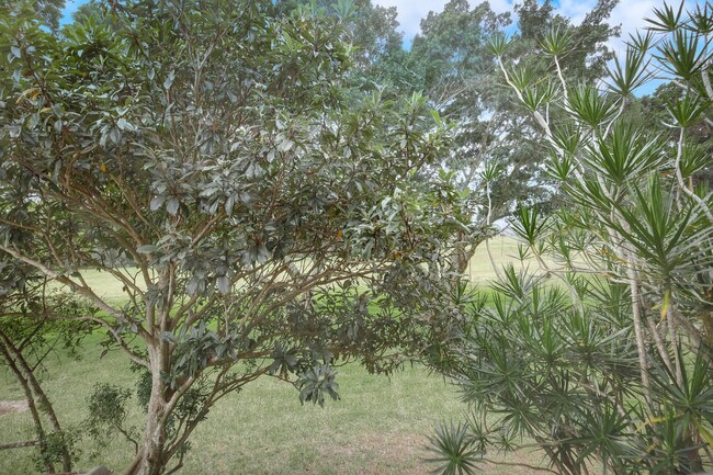 Building Photo - 4801 Esedra Ct