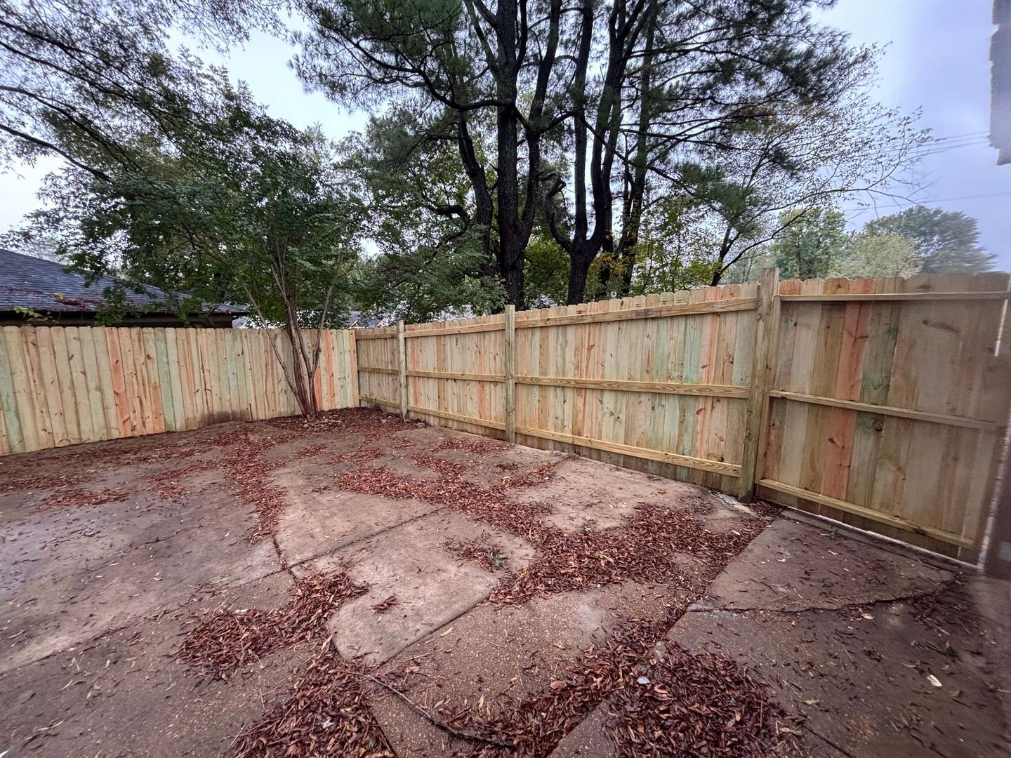 Building Photo - 5240 Bitter Creek Dr