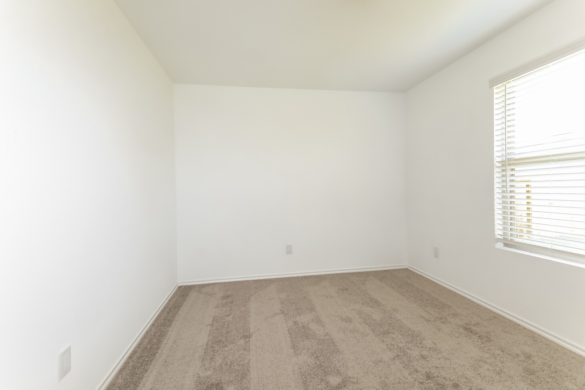 Building Photo - 919 Silver Birch Br