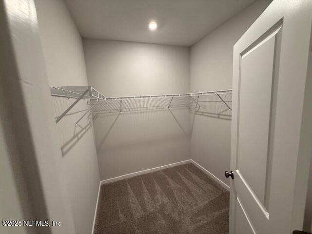 Building Photo - 28 Brazil Nut Cir
