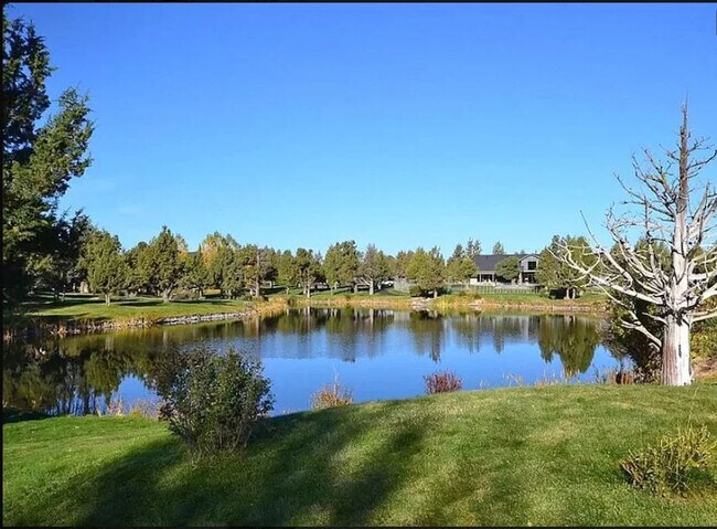 Building Photo - 1084 Golden Pheasant Dr