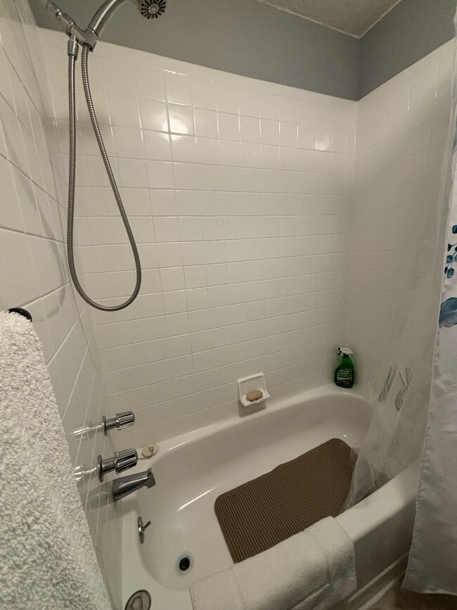 Tub mat and floor mat as needed. - 3515 Sable Palm Ln