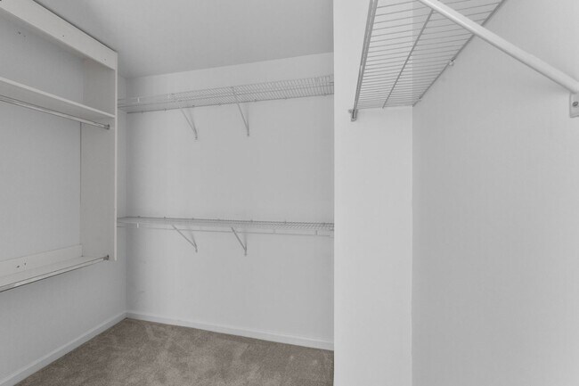 Building Photo - 4221 Bay Rum Ln