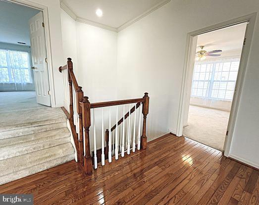 Building Photo - 7205 Lyndam Hill Cir