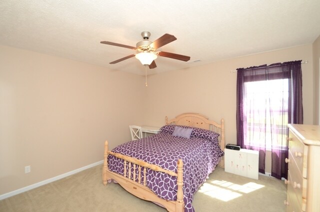 Building Photo - 309 S Brandon Way
