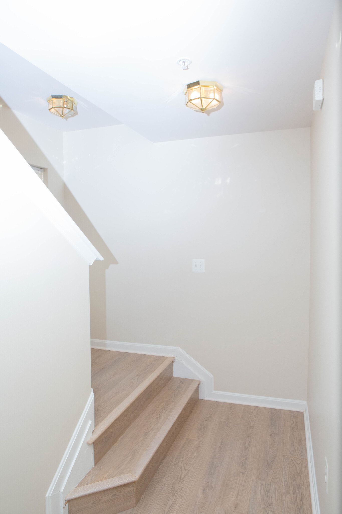 Building Photo - 2829 Forest Run Dr