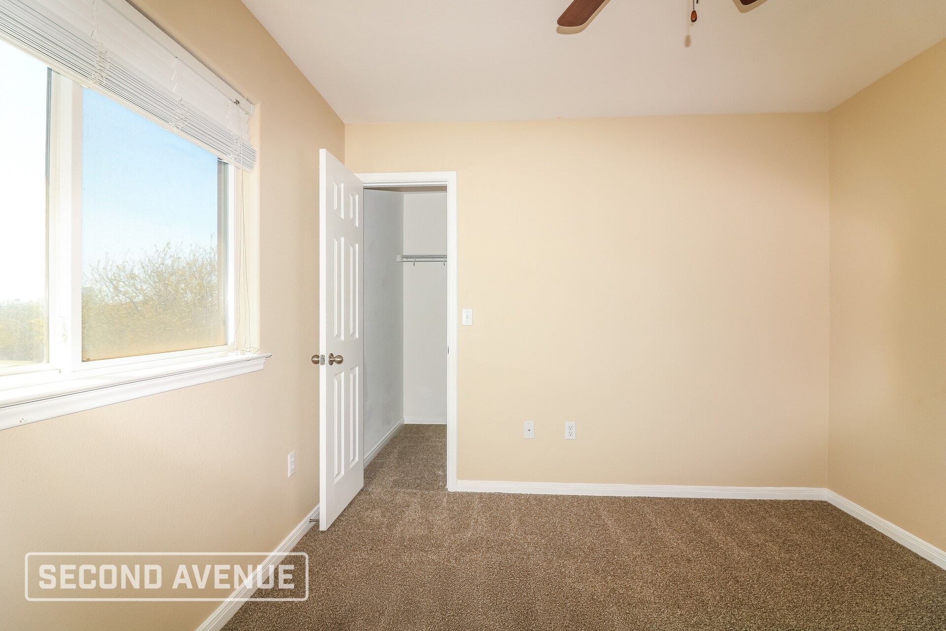 Building Photo - 1117 Livermore St