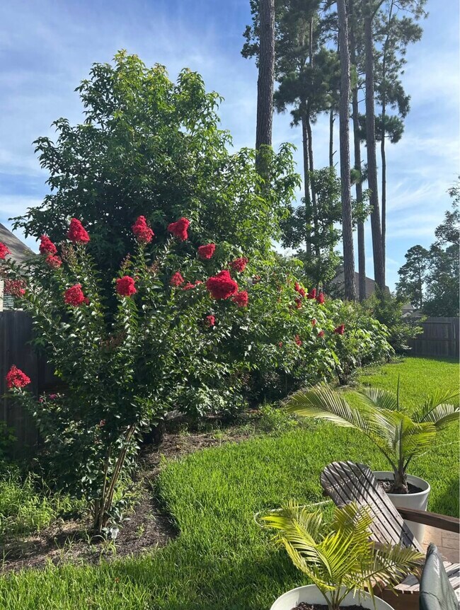 Building Photo - 322 Fanpalm Ct