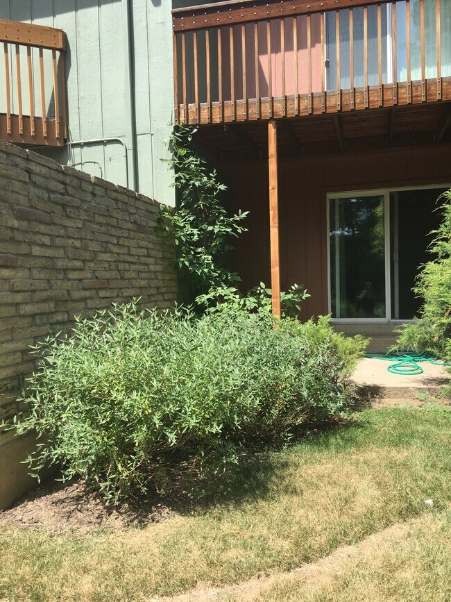 Back Patio and Deck - 3148 29th St