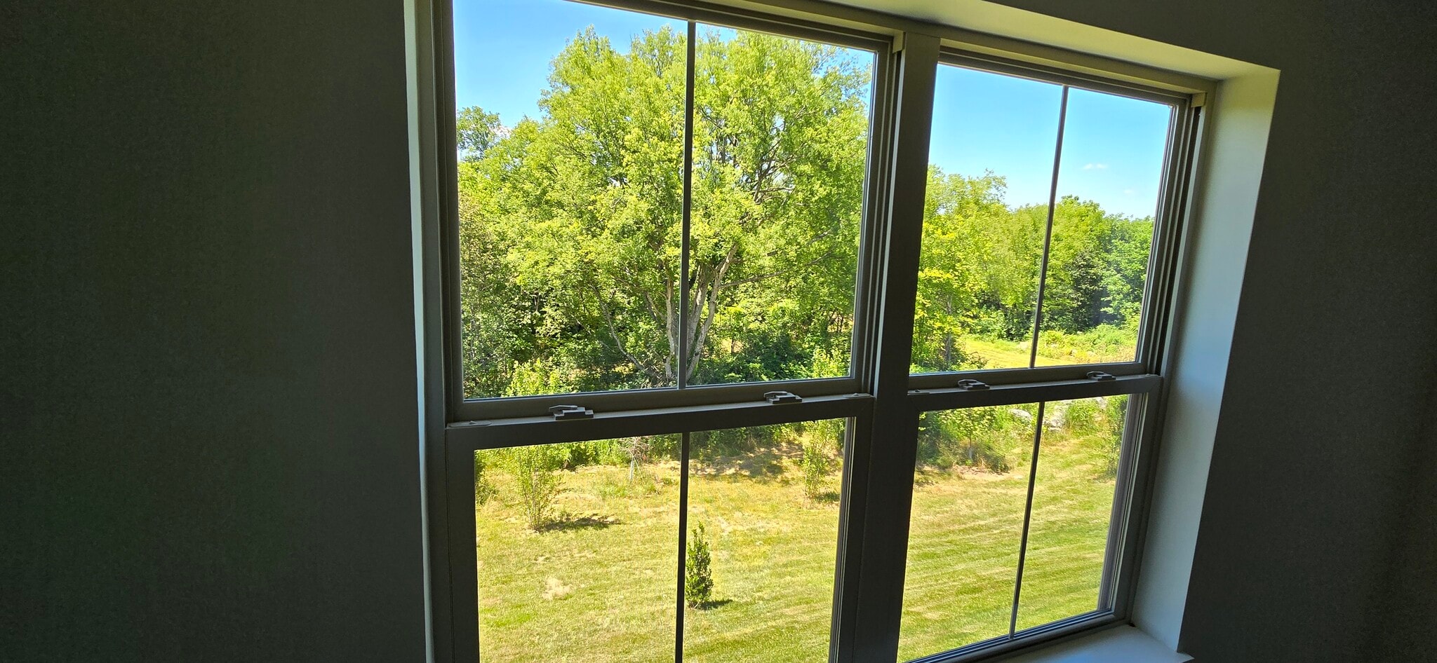 Building Photo - 1606 Mountain Quail Cir