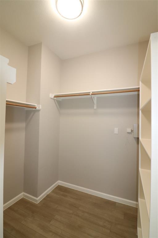 Building Photo - 1309 Wide Antler Cove
