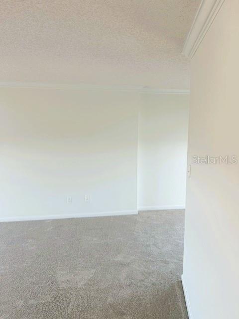 Building Photo - 2611 Bayshore Blvd