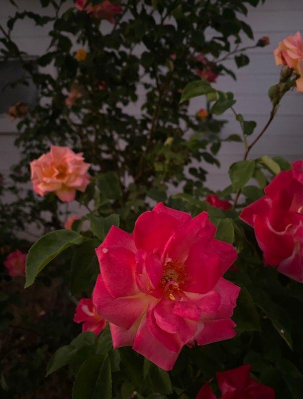 Building Photo - 110 6th St