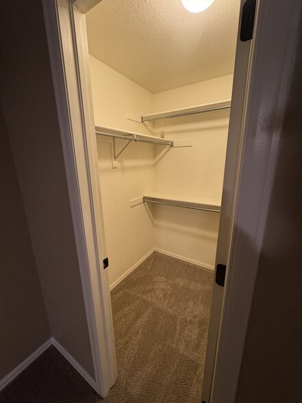 Master Closet - 1311 Walden Ct