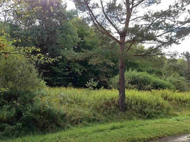 Building Photo - Cozy 3-Bedroom Home with Private Yard in Livingston Manor for November 1st!