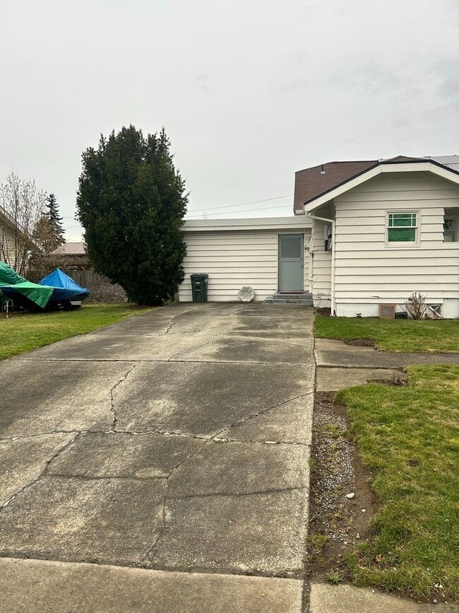 Primary Photo - Convenient Location 1 Bed, 1 Bath in Bellingham