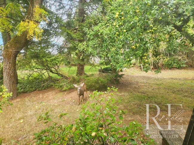 Building Photo - Waterfront Tudor | Private, Vintage Charm with Casita