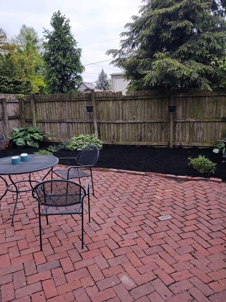 Back yard - 319 1/2 Jackson St