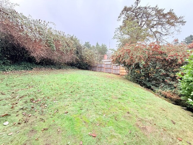 Building Photo - Beautiful 4 Bedroom Home with Fully Fenced Backyard!