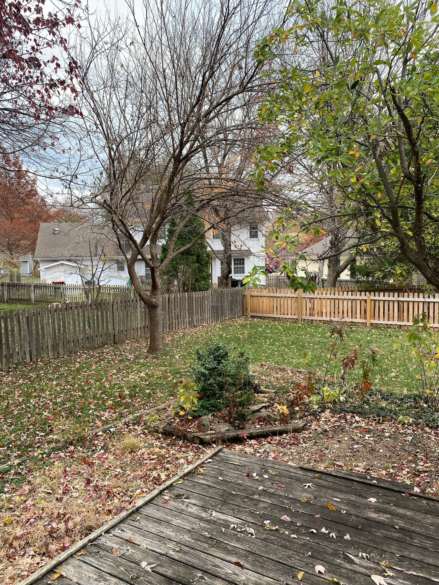 Backyard-1 - 1131 NE Oak Tree Dr