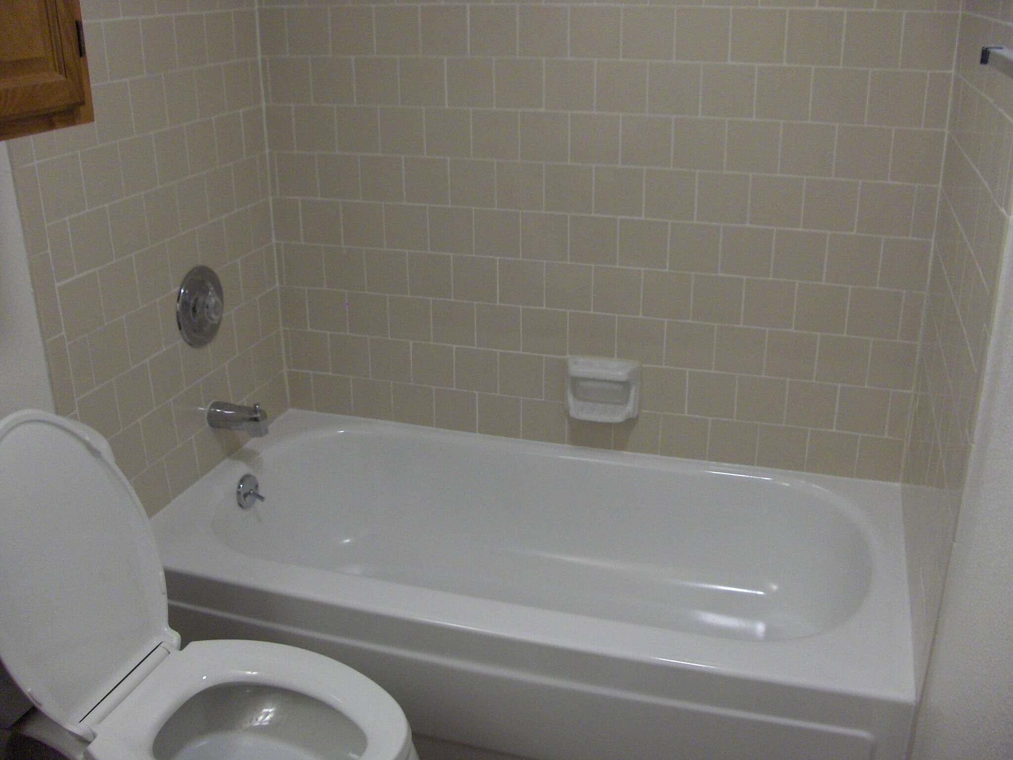 Bathroom - 4257 Family Tree