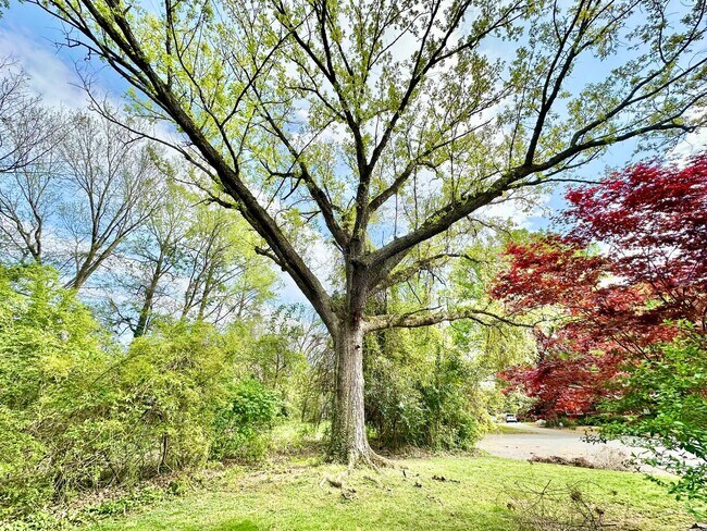 Building Photo - 621 Hanover Ct