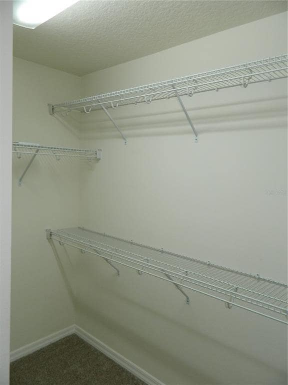 Building Photo - 5182 Sabal Branch Cove