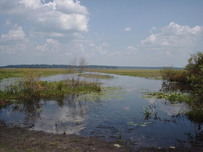 Building Photo - 2007 Harriet Dr
