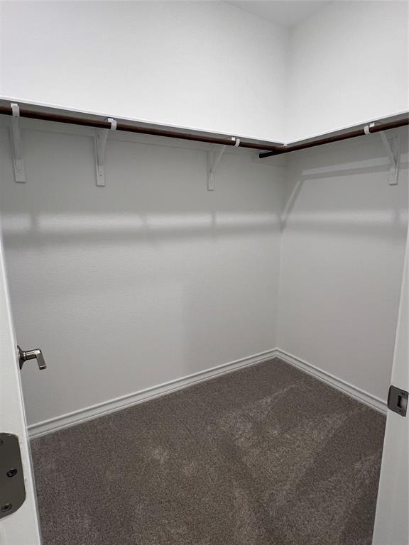 Building Photo - 497 Papaya Dr