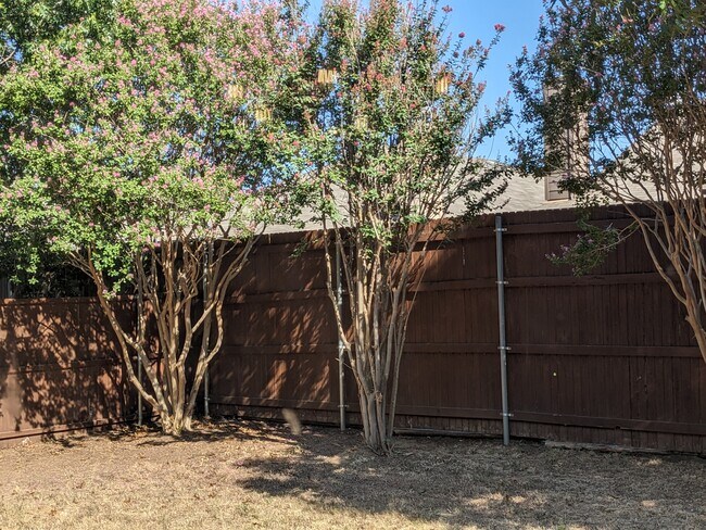 Back Yard - 2309 Acorn Bend