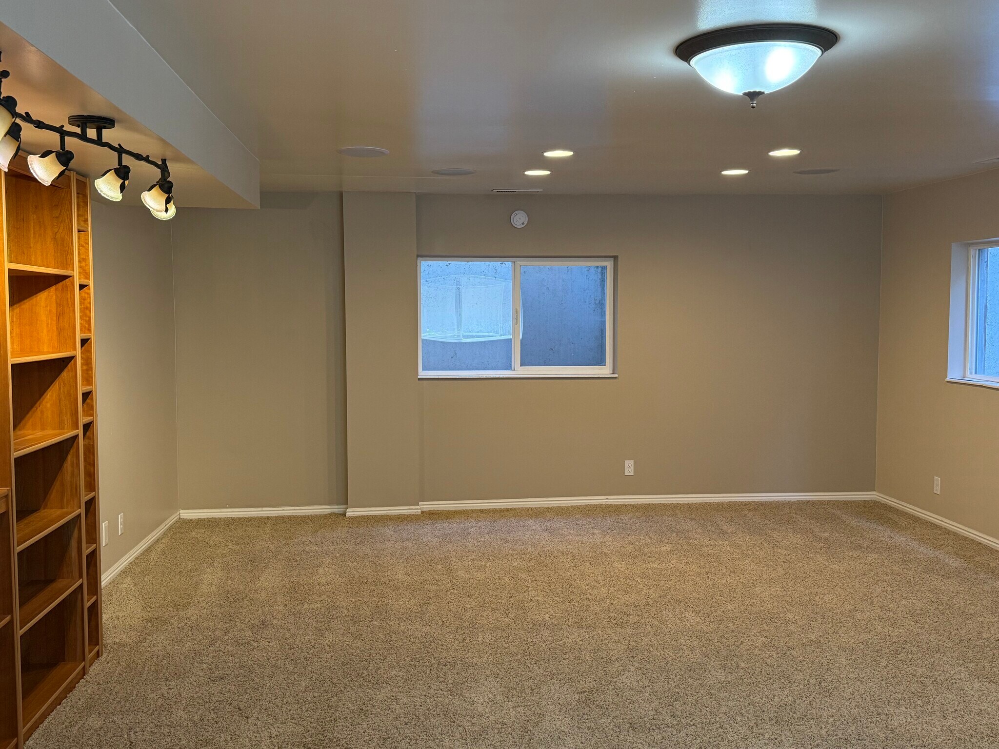 Basement Family room - 1453 E Vintry Cir