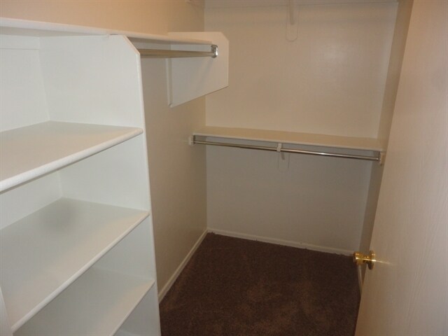 Building Photo - 3713 W Avenida Fria