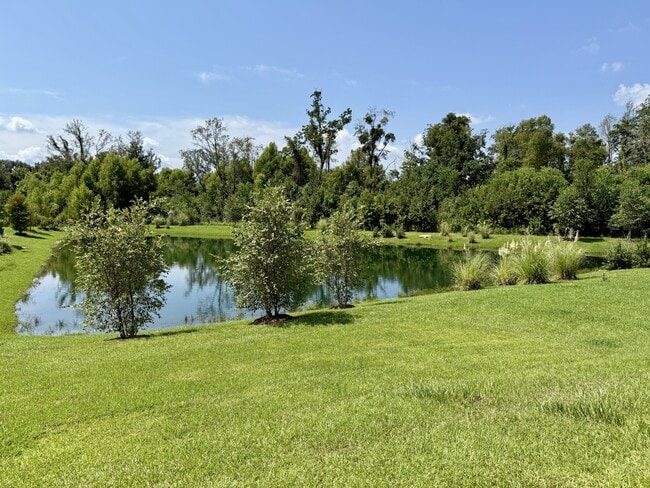Building Photo - 24629 Alamitos Trace Dr