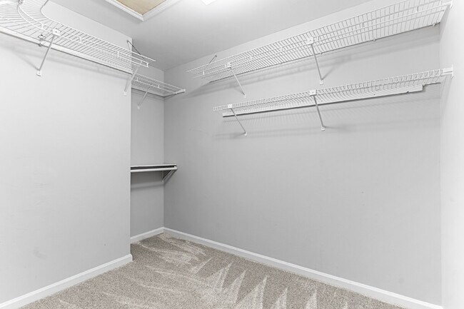 Building Photo - 109 Vinewood Ct