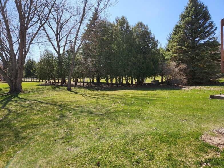 backyard - 631 Harrison St